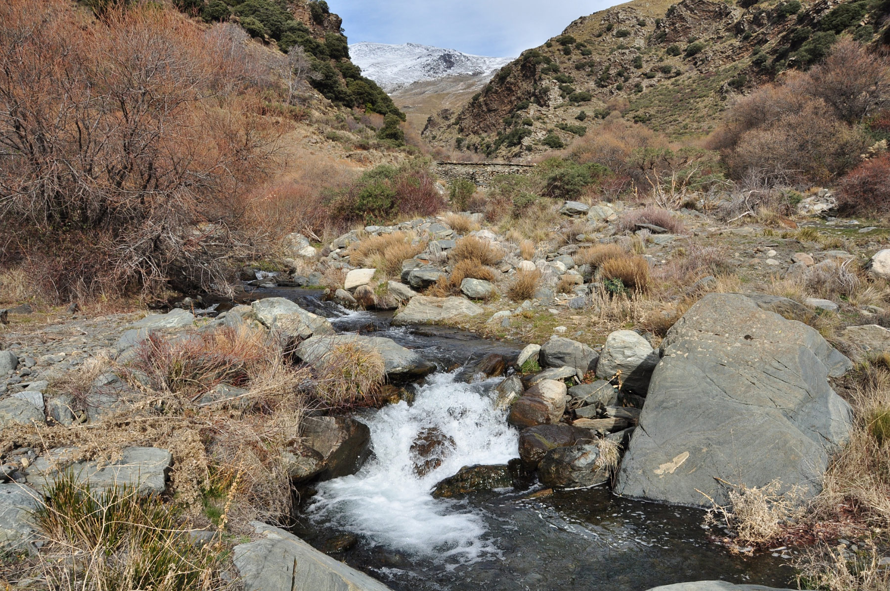 Pampaneira